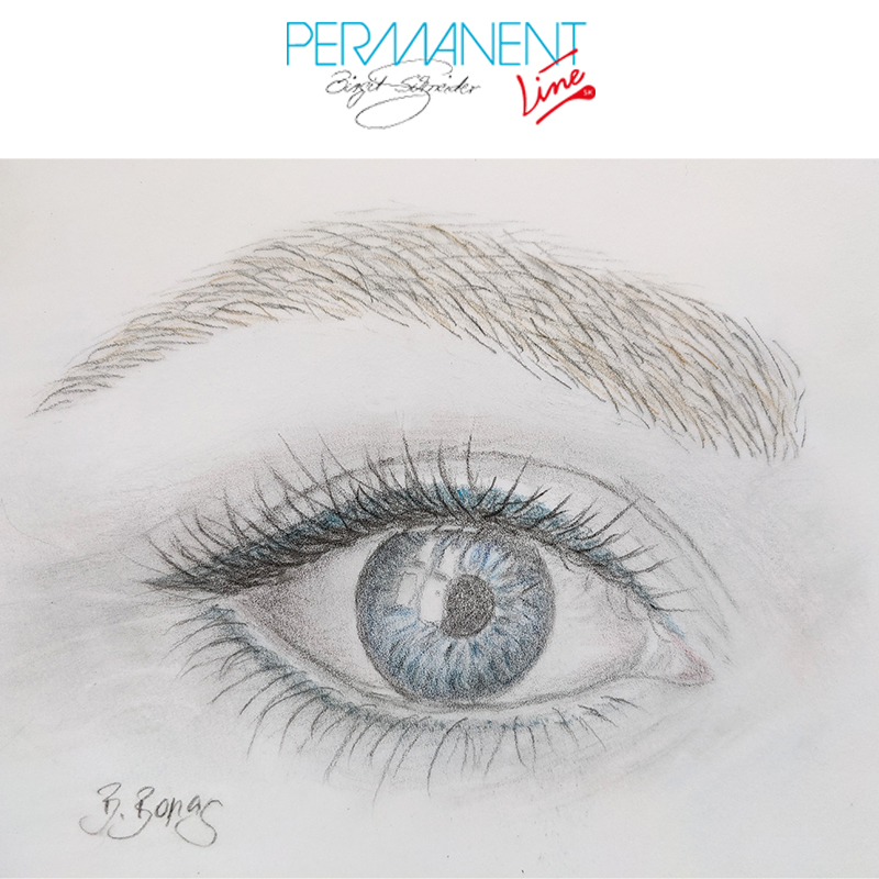 Augenbraue website