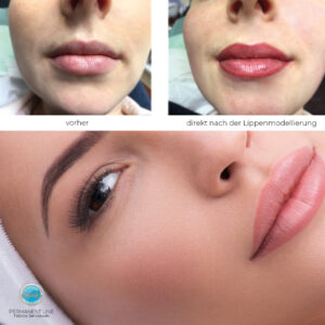 Collage Permanent Line