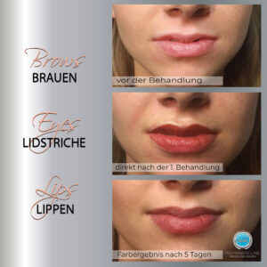 Collage Permanent Line